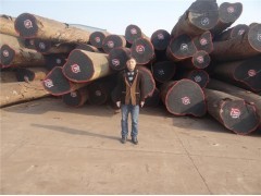 上海洪煌木業閔行經營部 專業木材銷售，精選全球優質木材