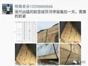 履約思源，不忘初心 2017年11月11日精品木材銷售信息速遞